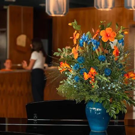 Le Grand Pavois Hotel 3*