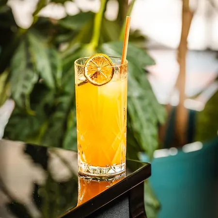 Hotel Le Grand Pavois 3*